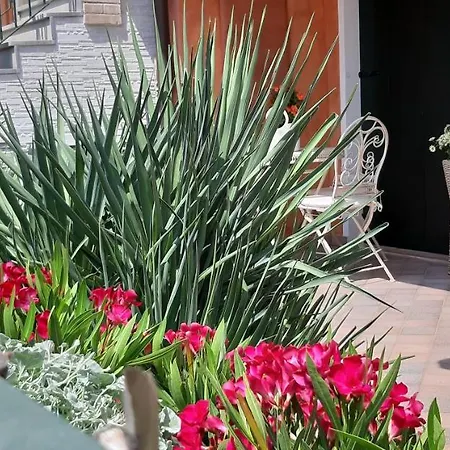 Casarelax Apartment *